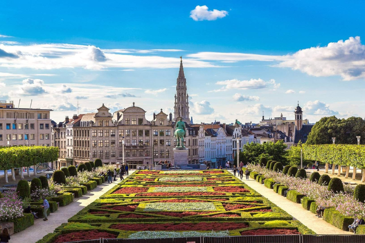 bruselas