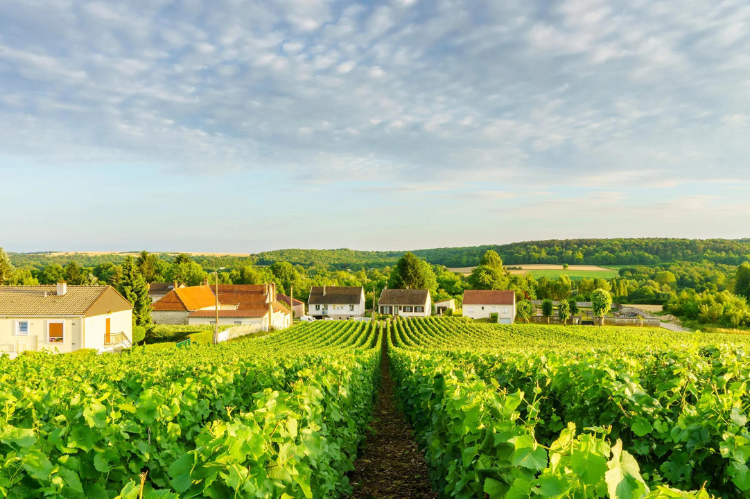 reims champagne