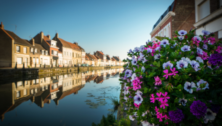 FRANCIA - St Omer
