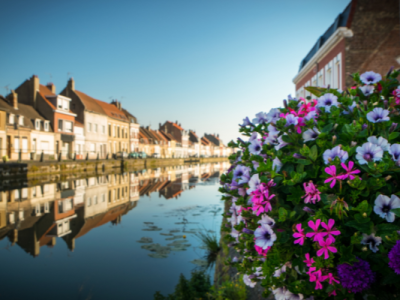 FRANCIA - St Omer
