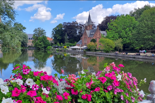 brujas