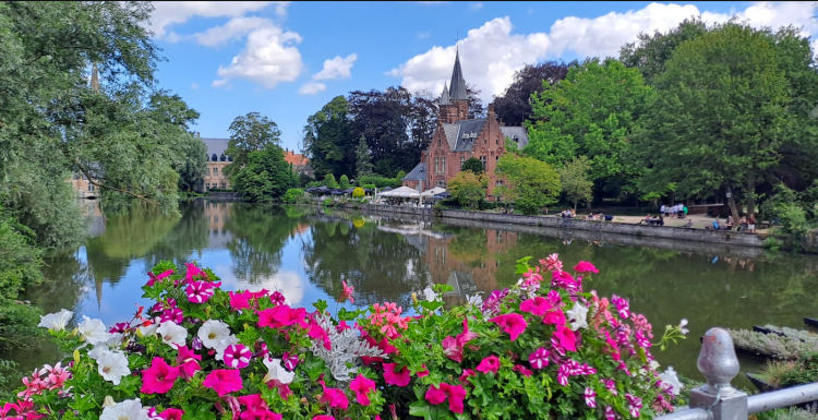 brujas
