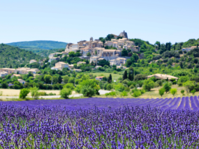 champs de lavande de Provence