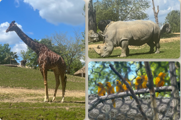 zoo